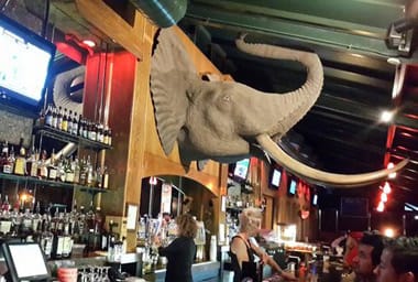Tusker Bar