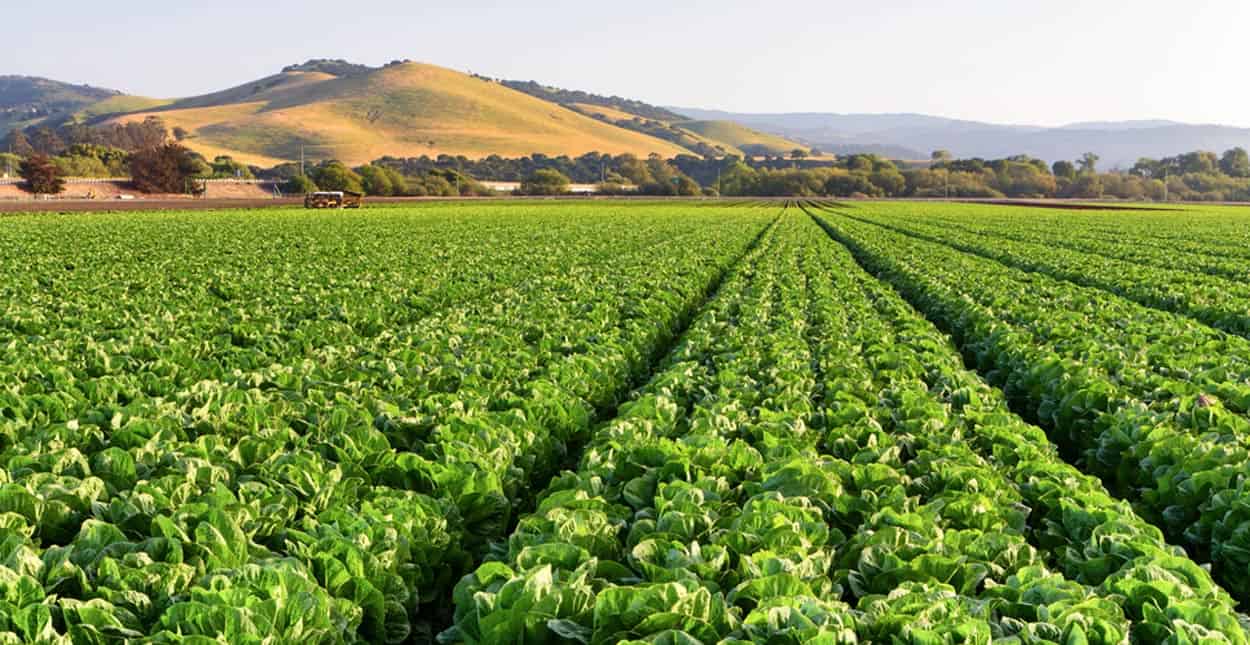 Single in Salinas, CA? 9 Places and Apps to Find a Date