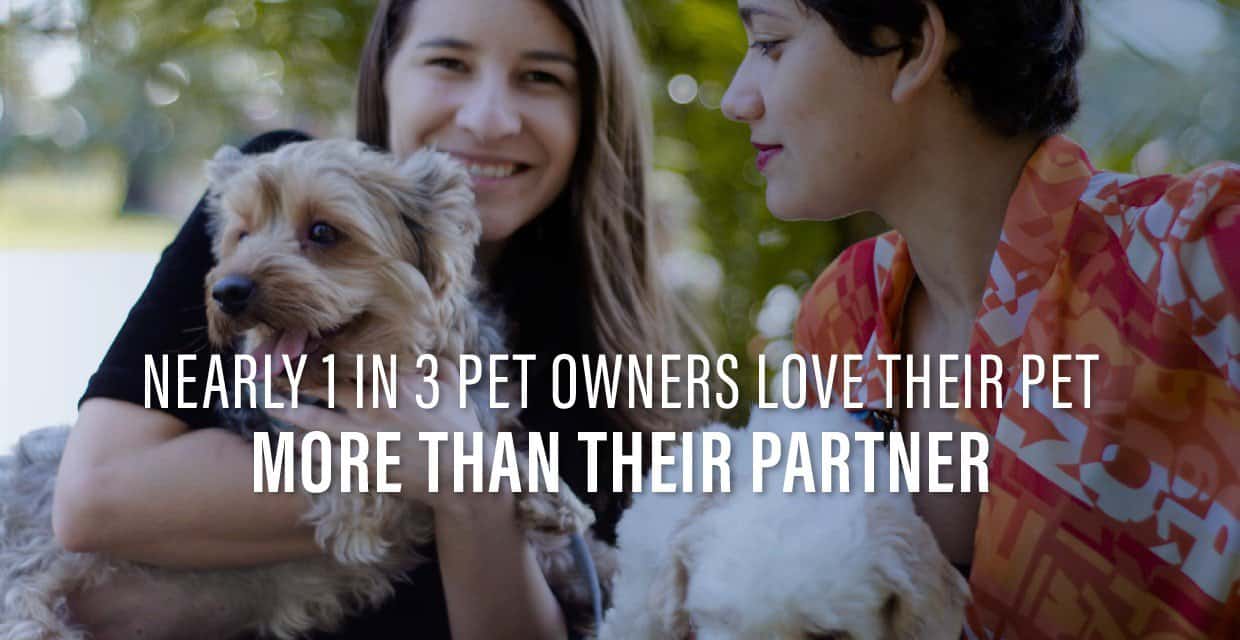 Nearly 1 in 3 Pet Owners Put Their Pet Ahead of Their Partner