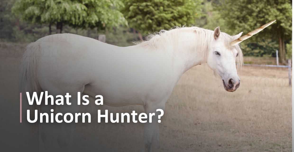 Unicorn Hunters, Explained