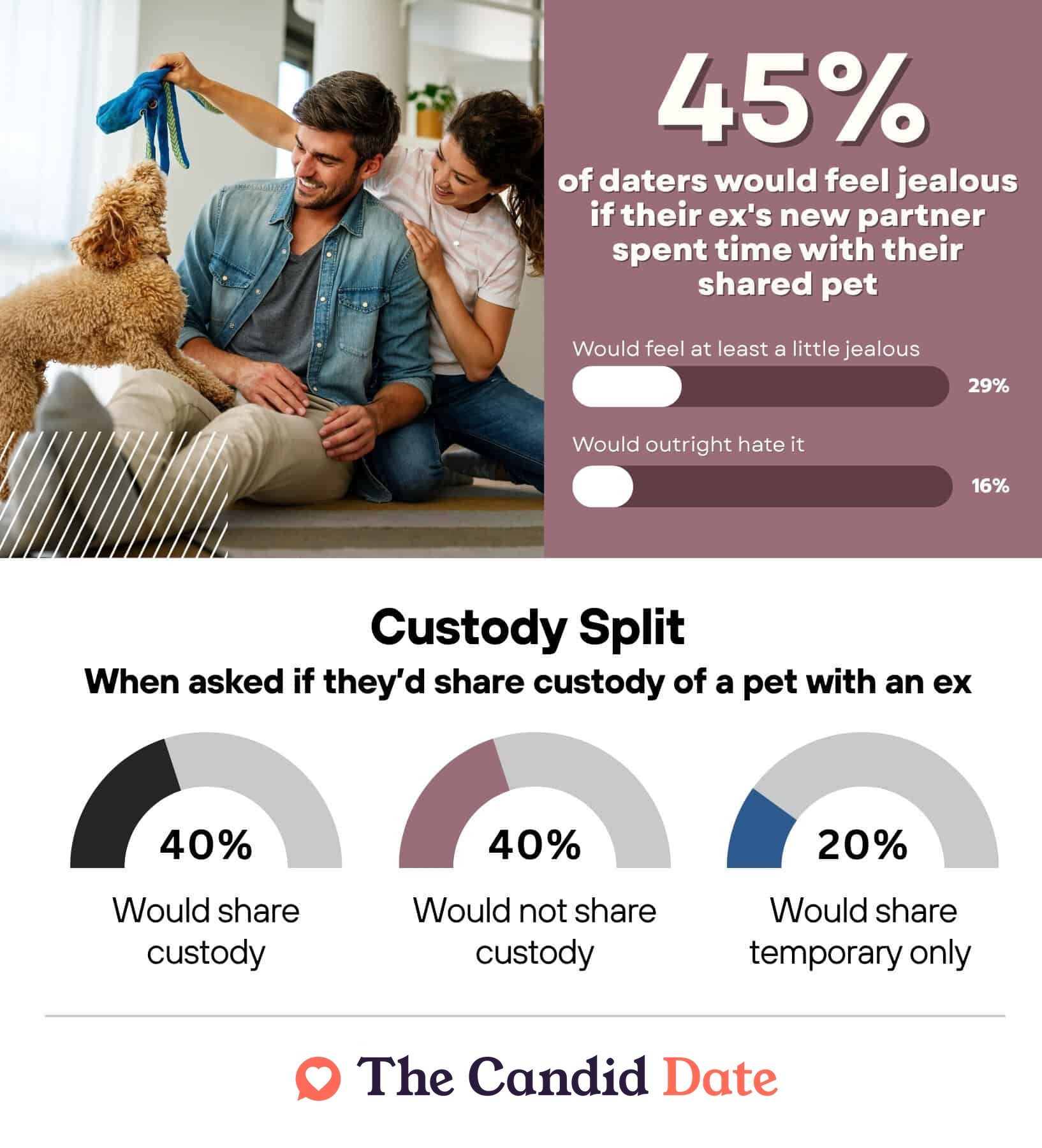 45% of daters would feel jealous if a ex's new partner spent time with their shared pet