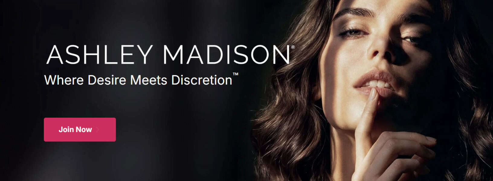 Ashley Madison homepage