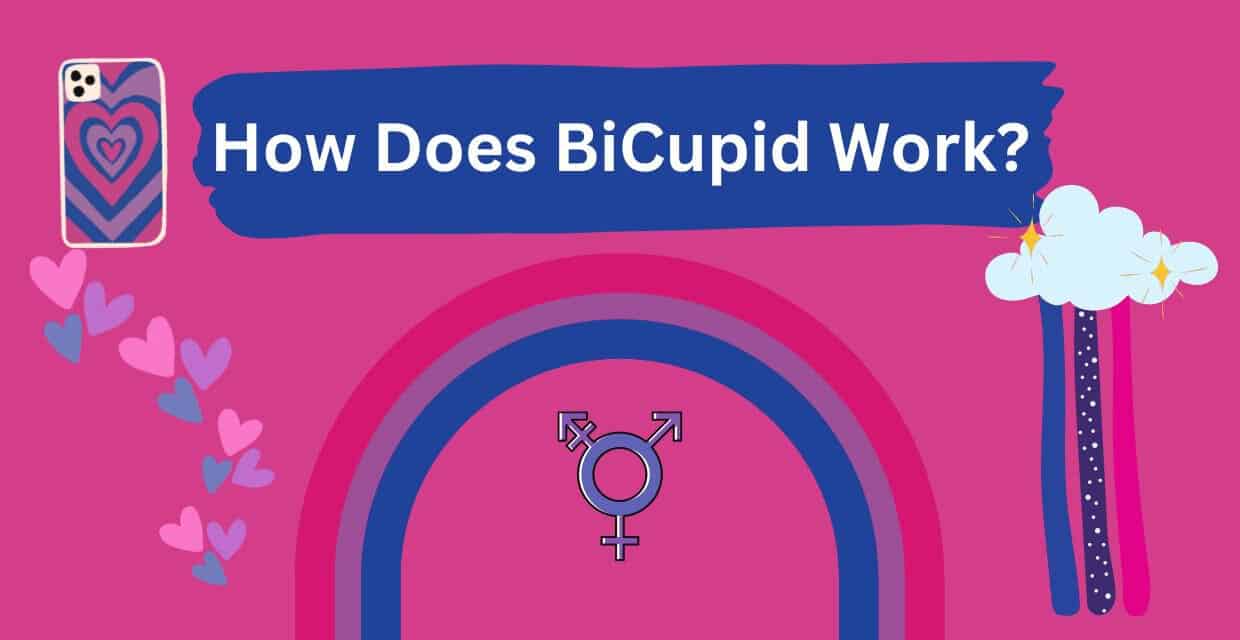 BiCupid Reviewed: How the Site Works and Who It’s For