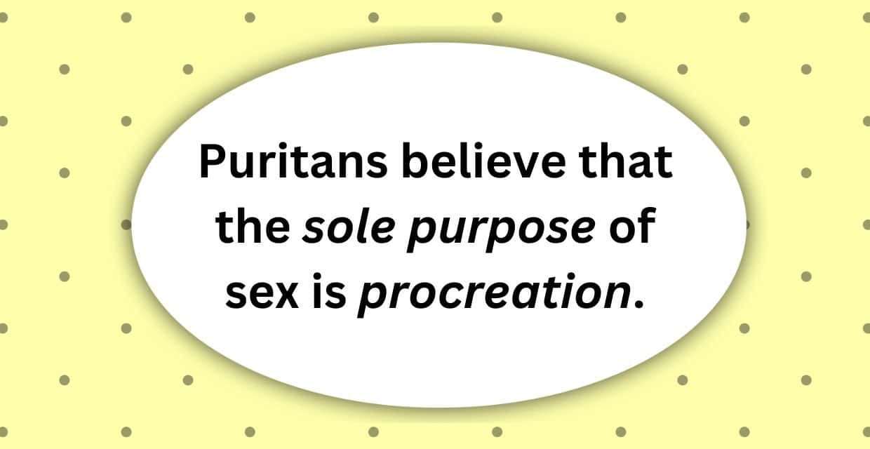 Puritans believe that the sole purpose of sex is procreation.