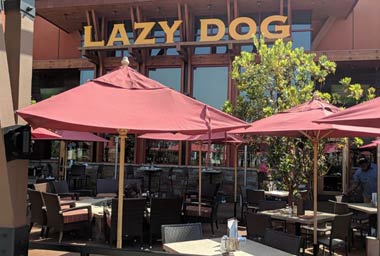 Lazy Dog Restaurant &amp; Bar