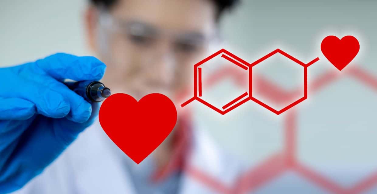 The Science of Love, According to Experts