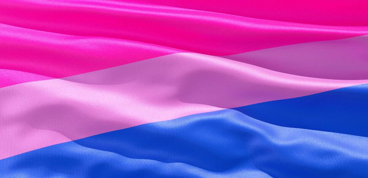 Close up of bisexual pride flag.
