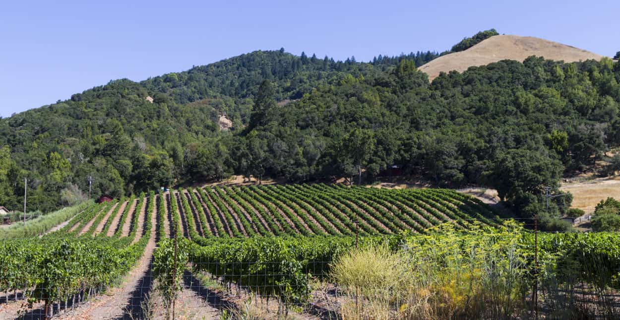 Single in Santa Rosa, CA? 9 Places and Apps to Find a Date