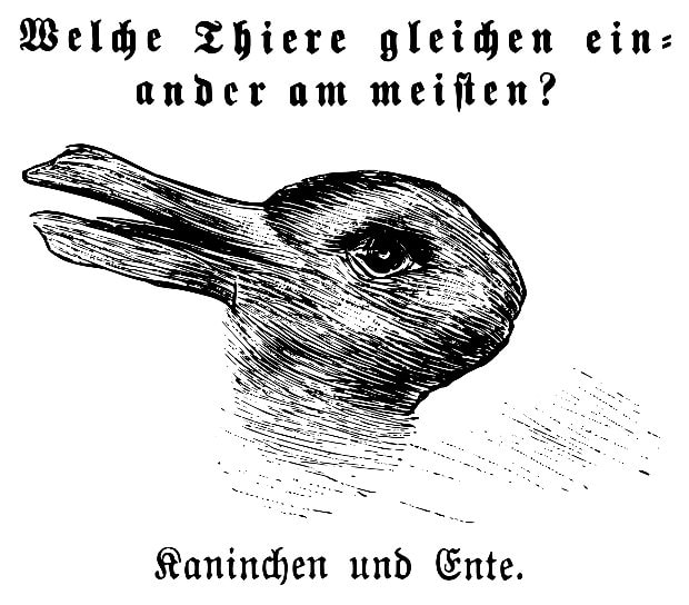A photo of the duck/bunny picture, which shows a sketch of a bunny or of a duck