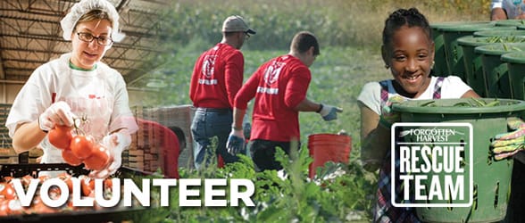 Photos of Forgotten Harvest volunteers