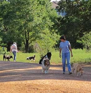 Photo of Bear Creek Dog Park